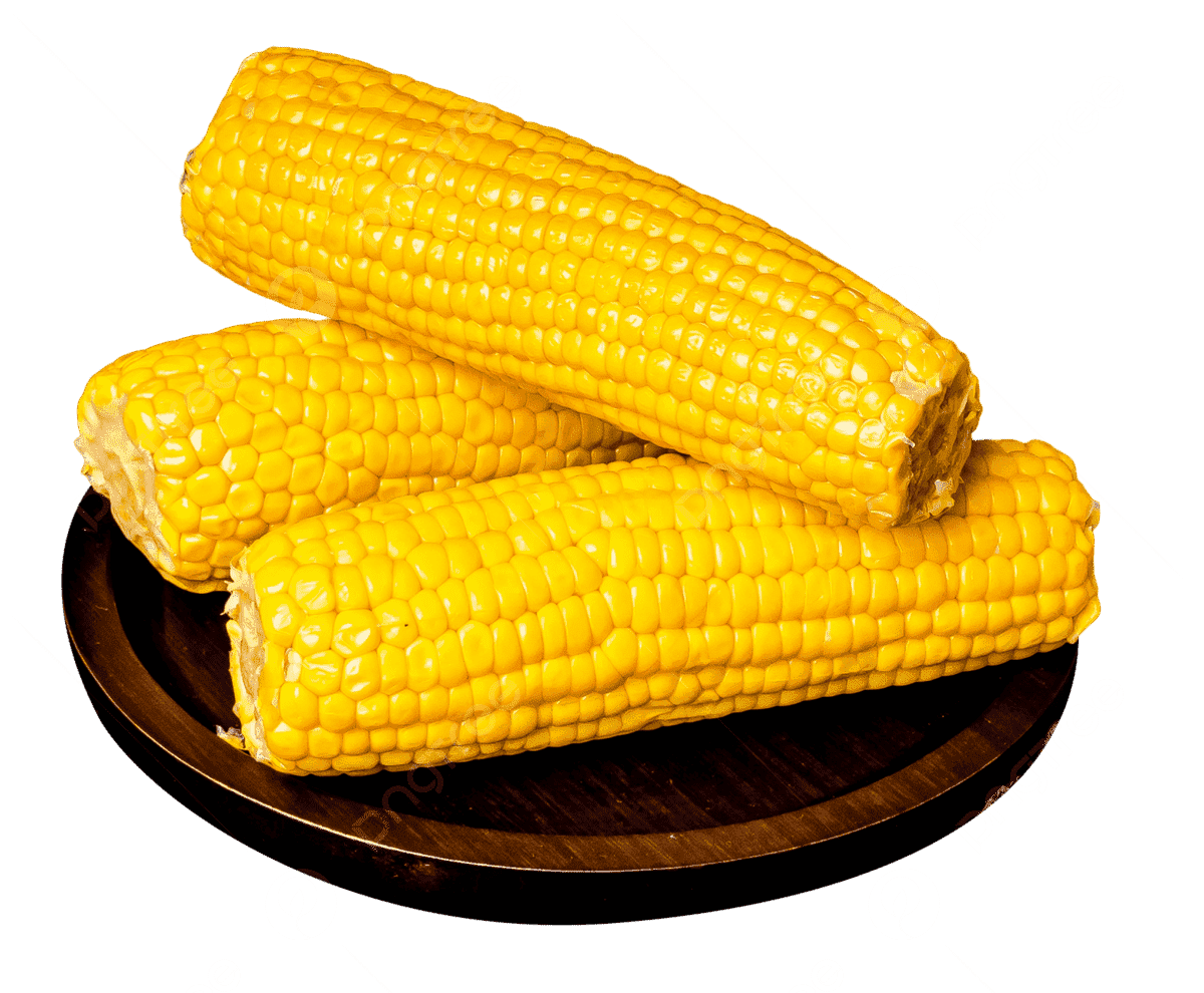 Corn on the Cob