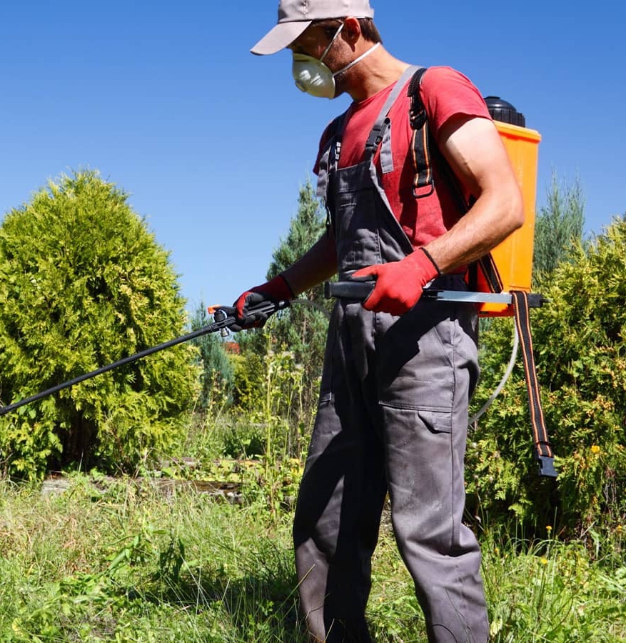 Rosa's Lawn Maintenance crew doing some weed treatment
